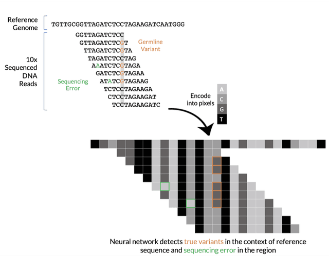 Deep learning for detecting cancer mutations